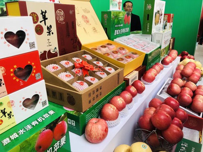 洛川苹果:一场甜蜜的产业振兴之旅